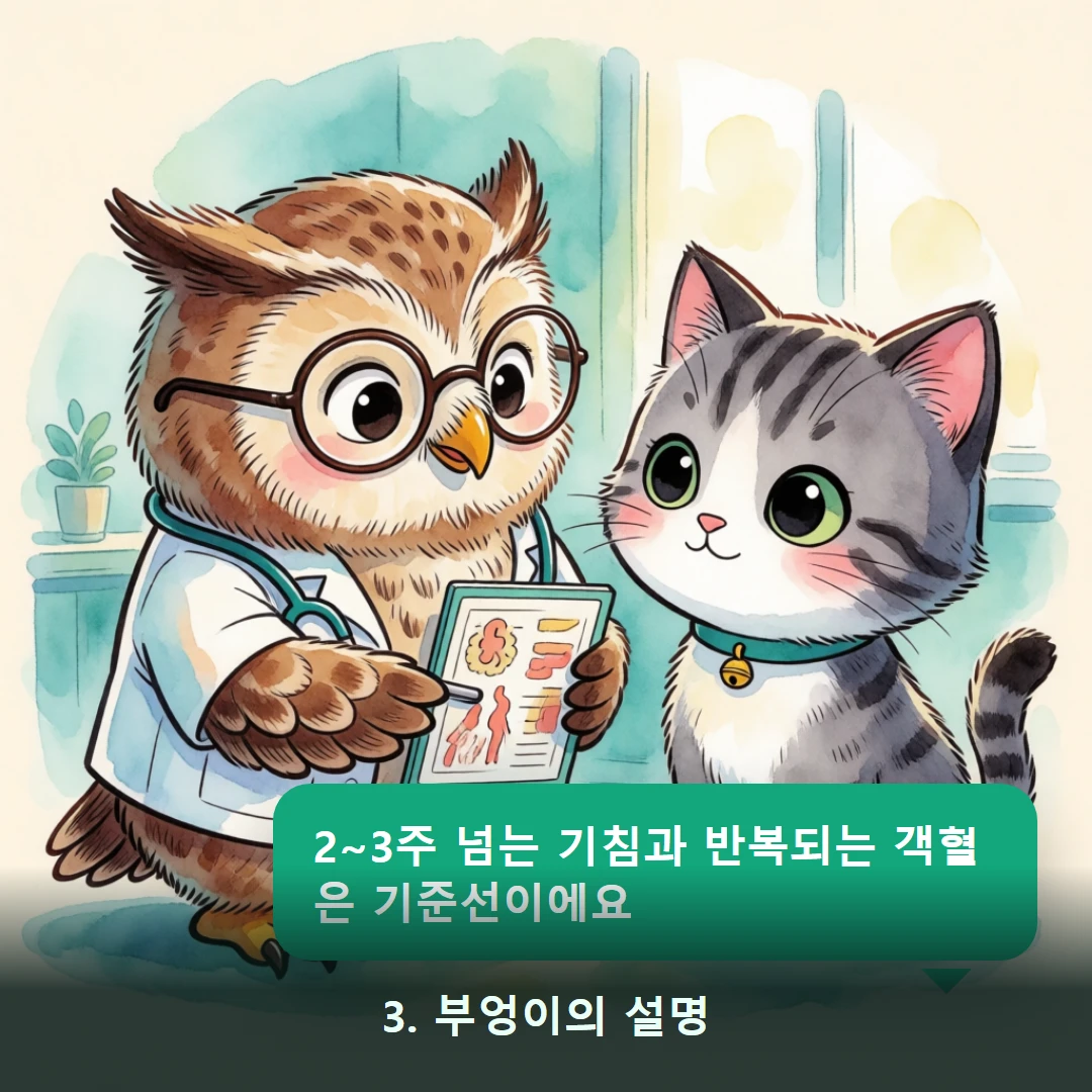 웹툰 3컷 — 3. 부엉이의 설명 (2~3주 넘는 기침과 반복되는 객혈은 기준선이에요)