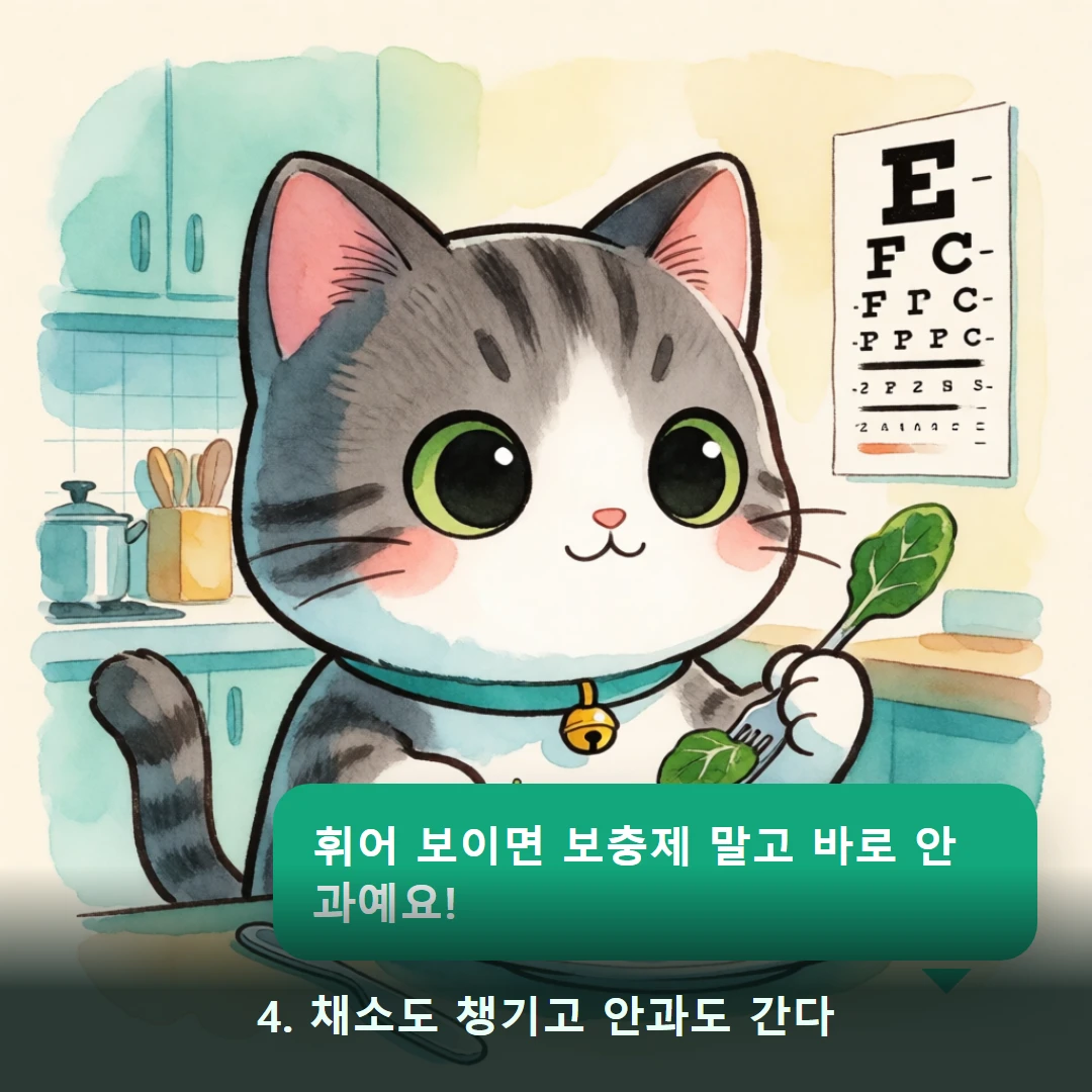 웹툰 4컷 — 4. 채소도 챙기고 안과도 간다 (휘어 보이면 보충제 말고 바로 안과예요!)