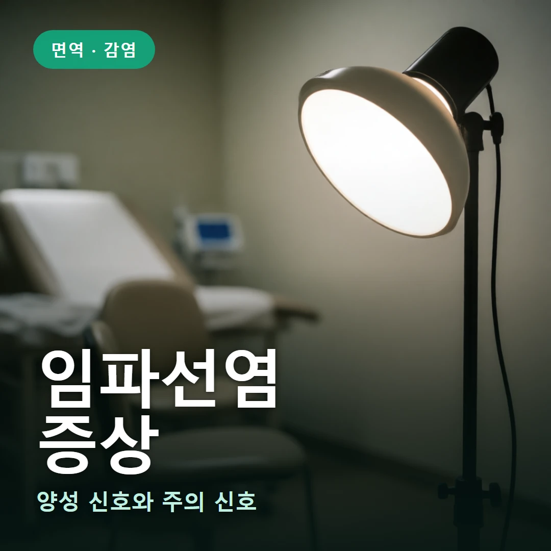 임파선염 요약 표지 — 양성 신호와 주의 신호