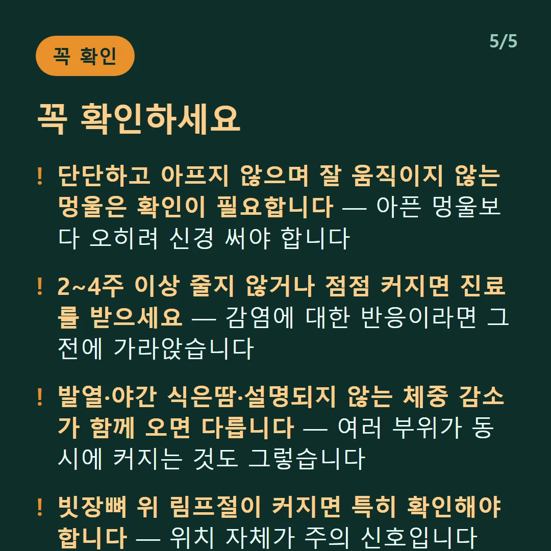 꼭 확인하세요 — 단단하고 아프지 않으며 잘 움직이지 않는 멍울은 확인이 필요합니다 — 아픈 멍울보다 오히려 신경 써야 합니다 / 2~4주 이상 줄지 않거나 점점 커지면 진료를 받으세요 — 감염에 대한 반응이라면 그 전에 가라앉습니다 / 발열·야간 식은땀·설명되지 않는 체중 감소가 함께 오면 다릅니다 — 여러 부위가 동시에 커지는 것도 그렇습니다 / 빗장뼈 위 림프절이 커지면 특히 확인해야 합니다 — 위치 자체가 주의 신호입니다