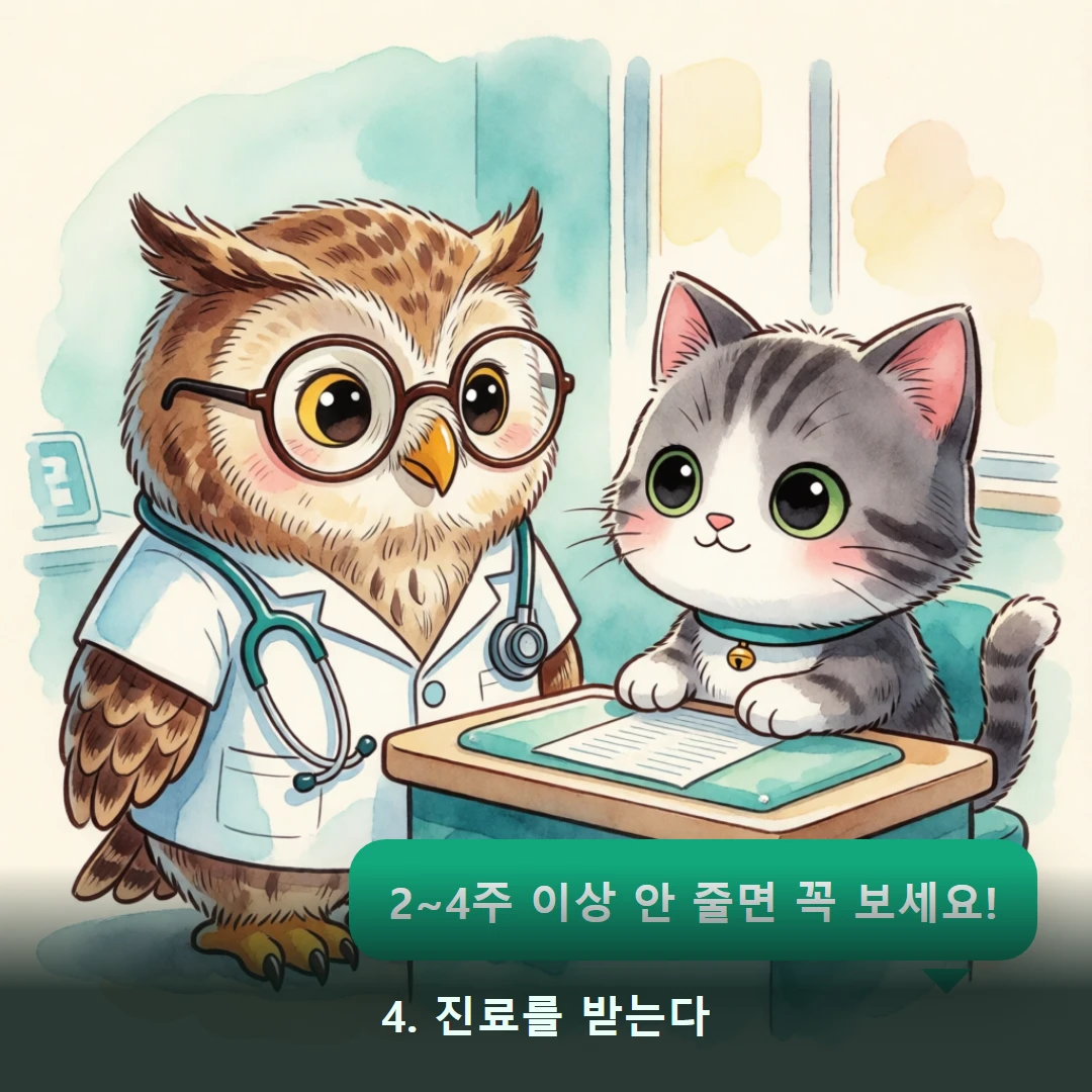 웹툰 4컷 — 4. 진료를 받는다 (2~4주 이상 안 줄면 꼭 보세요!)