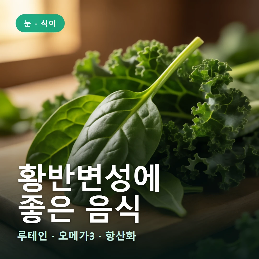 황반변성 식이 요약 표지 — 루테인 · 오메가3 · 항산화