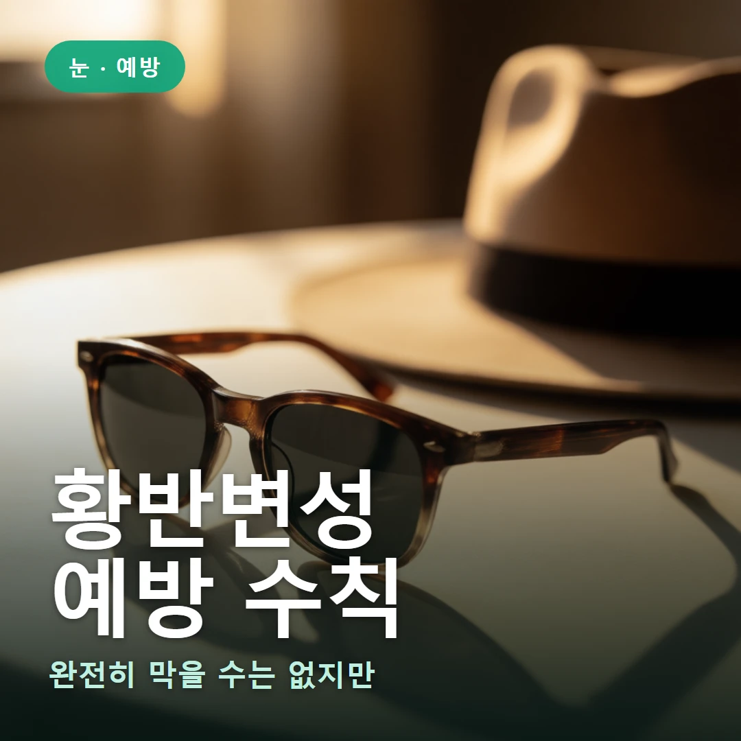 황반변성 예방 요약 표지 — 완전히 막을 수는 없지만