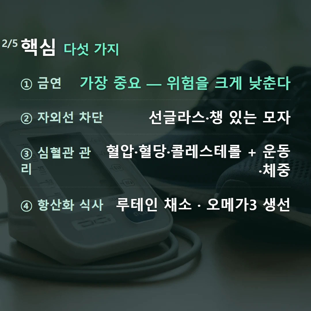핵심 다섯 가지 — ① 금연 가장 중요 — 위험을 크게 낮춘다, ② 자외선 차단 선글라스·챙 있는 모자, ③ 심혈관 관리 혈압·혈당·콜레스테롤 + 운동·체중, ④ 항산화 식사 루테인 채소 · 오메가3 생선