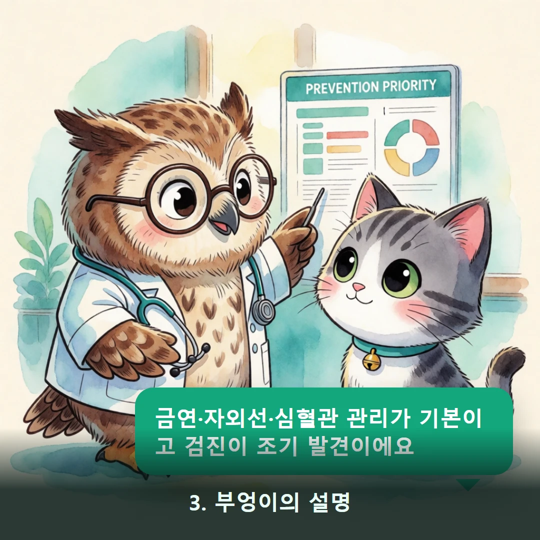웹툰 3컷 — 3. 부엉이의 설명 (금연·자외선·심혈관 관리가 기본이고 검진이 조기 발견이에요)