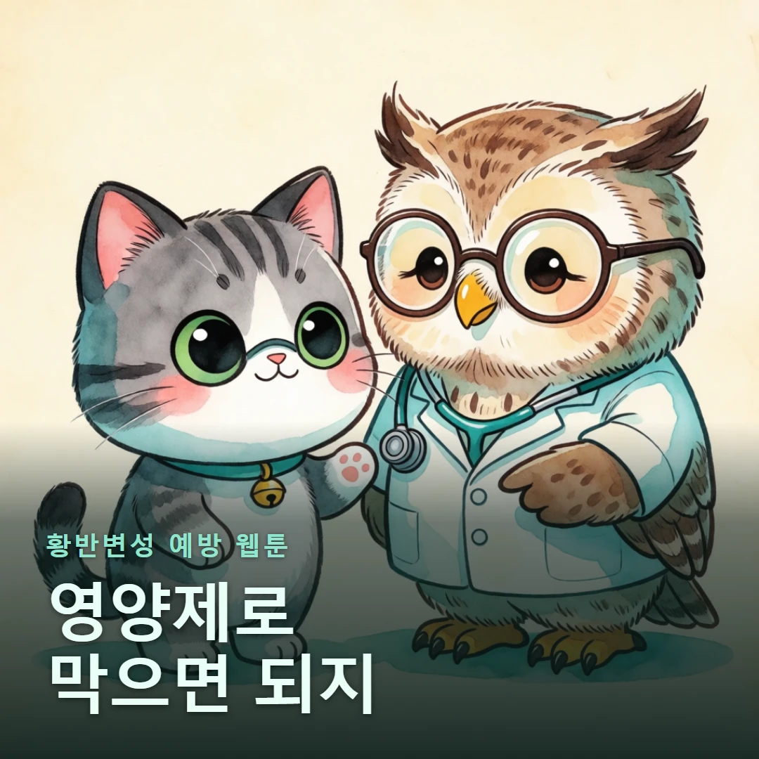 황반변성 예방 웹툰 표지 — 영양제로 막으면 되지
