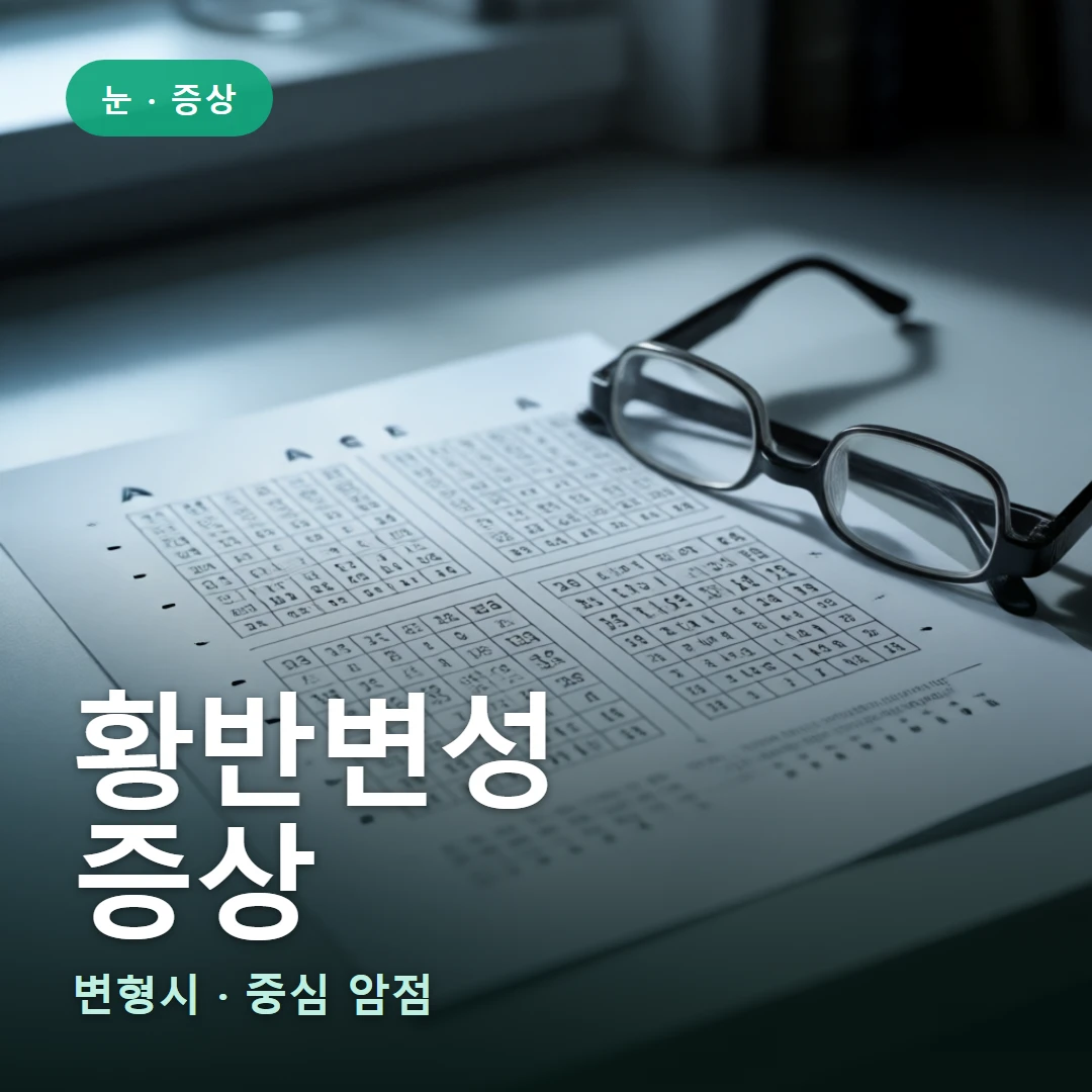 황반변성 증상 요약 표지 — 변형시 · 중심 암점