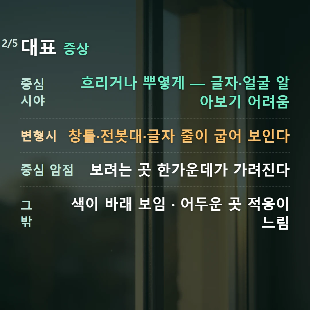 대표 증상 — 중심 시야 흐리거나 뿌옇게 — 글자·얼굴 알아보기 어려움, 변형시 창틀·전봇대·글자 줄이 굽어 보인다, 중심 암점 보려는 곳 한가운데가 가려진다, 그 밖 색이 바래 보임 · 어두운 곳 적응이 느림