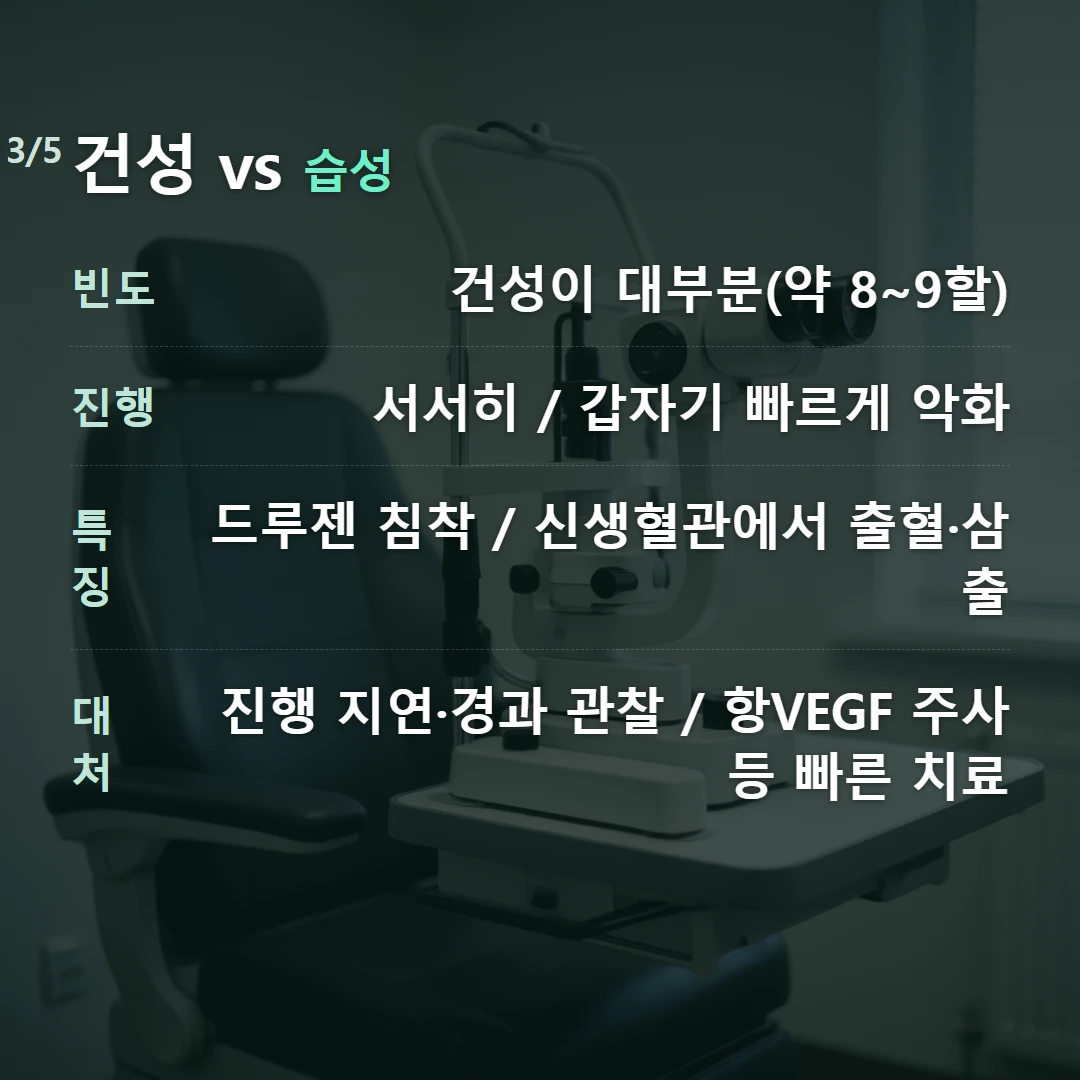 건성 vs 습성 — 빈도 건성이 대부분(약 8~9할), 진행 서서히 / 갑자기 빠르게 악화, 특징 드루젠 침착 / 신생혈관에서 출혈·삼출, 대처 진행 지연·경과 관찰 / 항VEGF 주사 등 빠른 치료