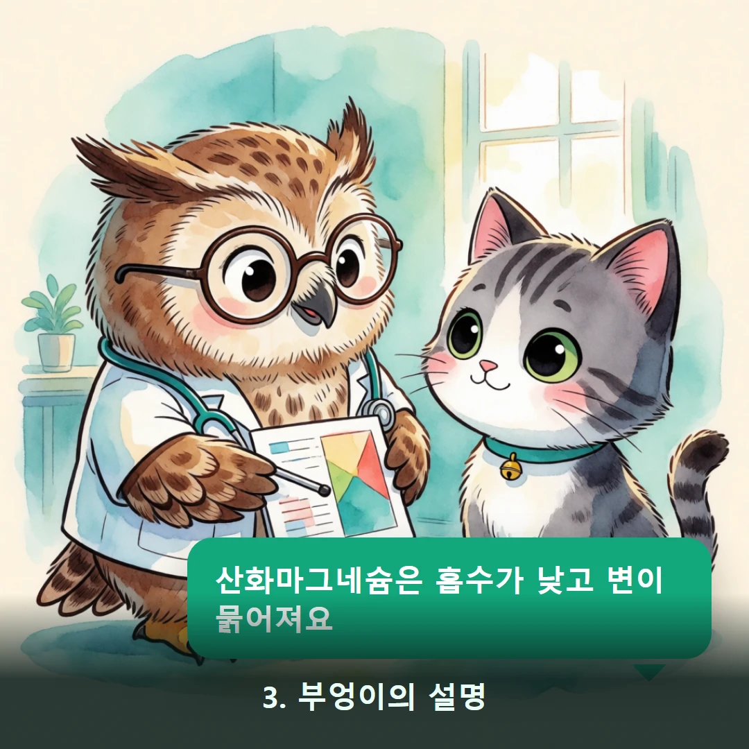 웹툰 3컷 — 3. 부엉이의 설명 (산화마그네슘은 흡수가 낮고 변이 묽어져요)