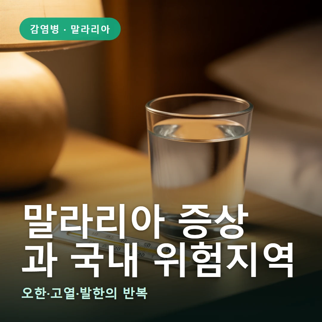 말라리아 요약 표지 — 오한·고열·발한의 반복