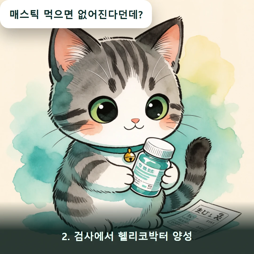 웹툰 2컷 — 2. 검사에서 헬리코박터 양성 (매스틱 먹으면 없어진다던데?)
