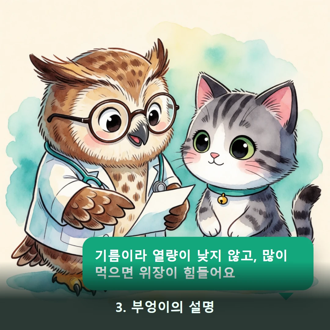 웹툰 3컷 — 3. 부엉이의 설명 (기름이라 열량이 낮지 않고, 많이 먹으면 위장이 힘들어요)