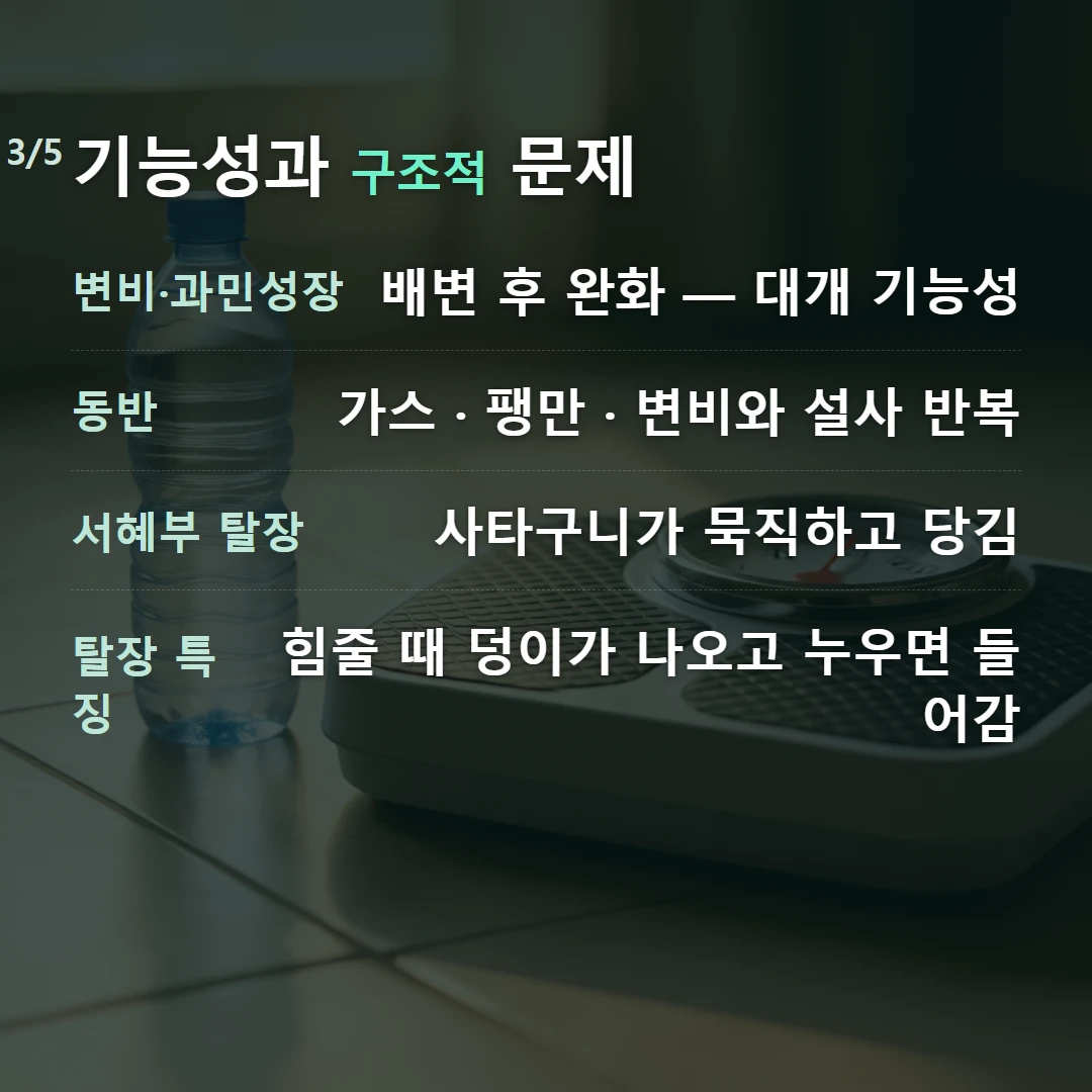 기능성과 구조적 문제 — 변비·과민성장 배변 후 완화 — 대개 기능성, 동반 가스 · 팽만 · 변비와 설사 반복, 서혜부 탈장 사타구니가 묵직하고 당김, 탈장 특징 힘줄 때 덩이가 나오고 누우면 들어감
