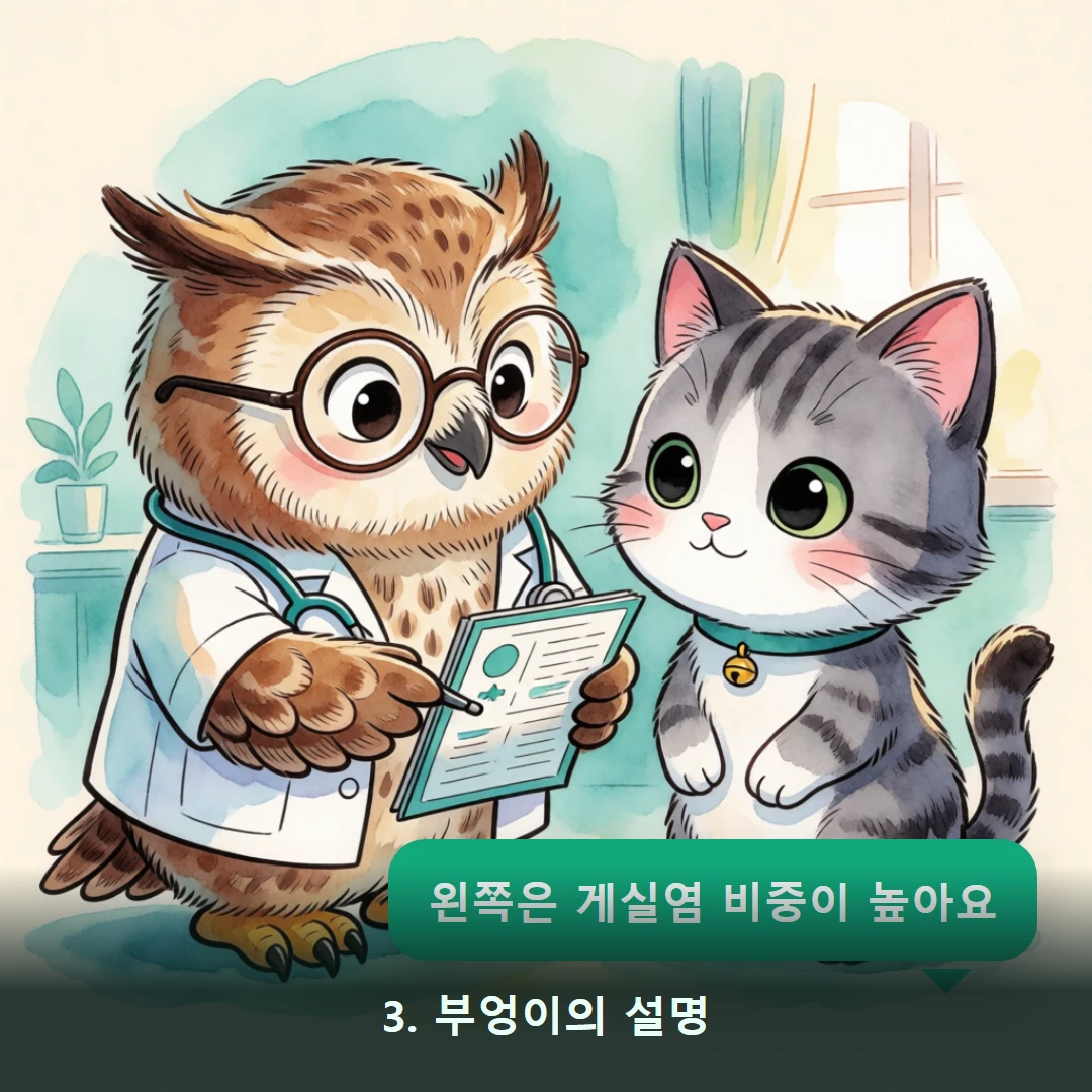 웹툰 3컷 — 3. 부엉이의 설명 (왼쪽은 게실염 비중이 높아요)