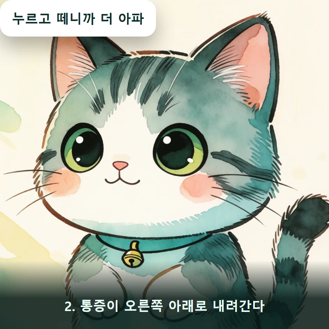 웹툰 2컷 — 2. 통증이 오른쪽 아래로 내려간다 (누르고 떼니까 더 아파)