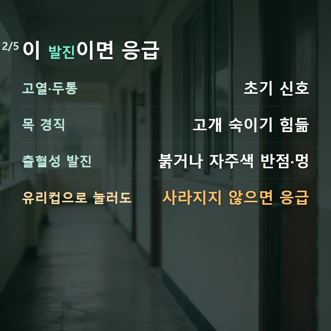 이 발진이면 응급 — 고열·두통 초기 신호, 목 경직 고개 숙이기 힘듦, 출혈성 발진 붉거나 자주색 반점·멍, 유리컵으로 눌러도 사라지지 않으면 응급