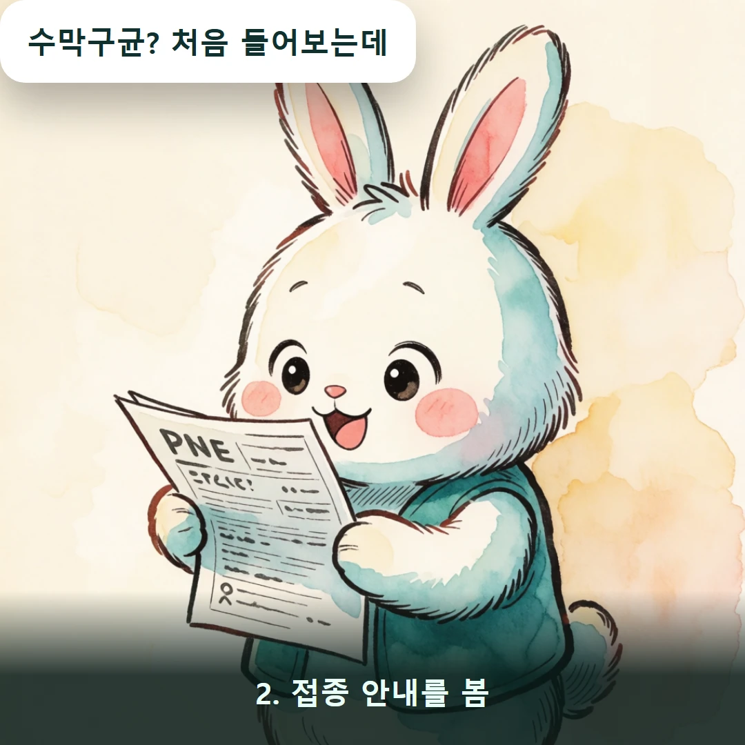 웹툰 2컷 — 2. 접종 안내를 봄 (수막구균? 처음 들어보는데)