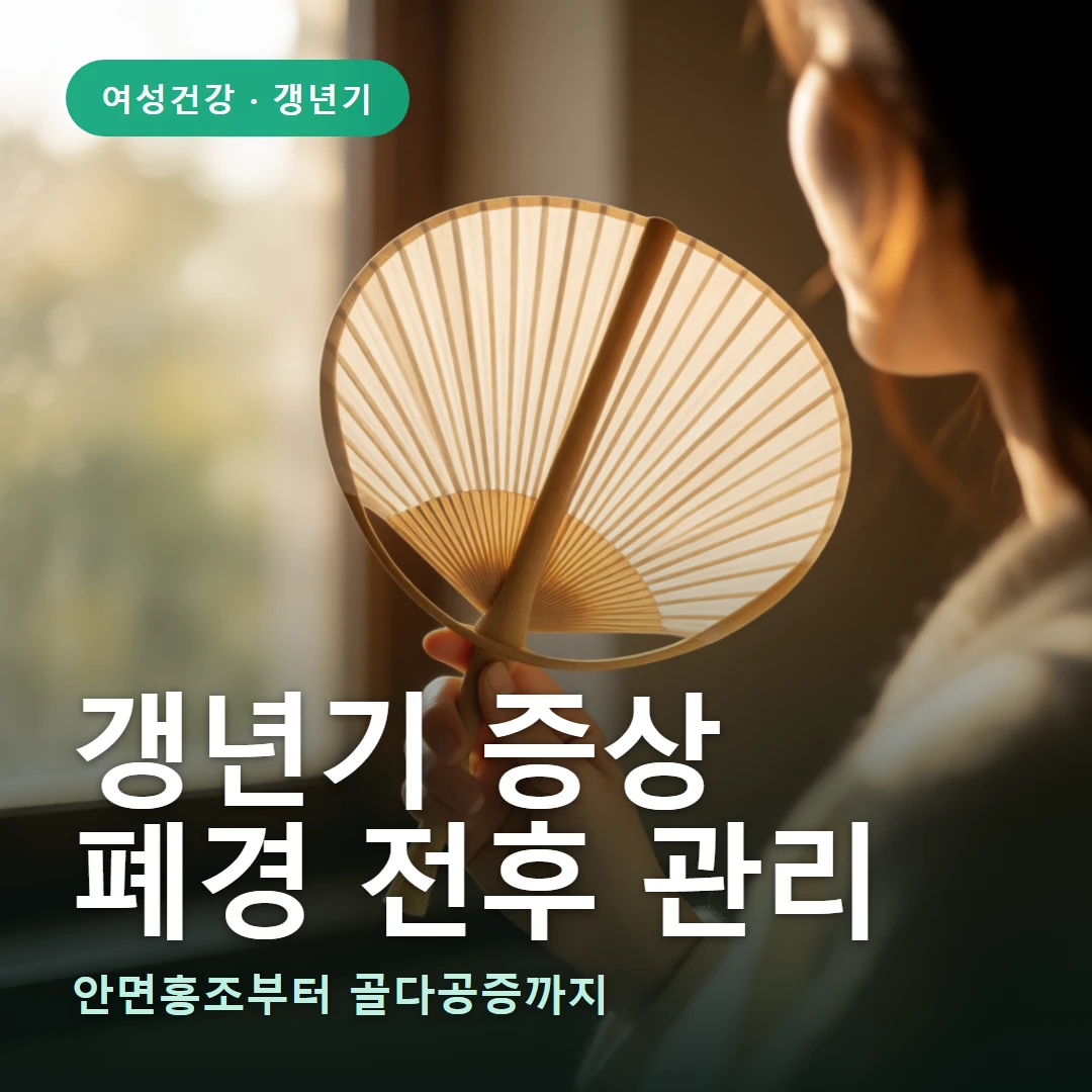 갱년기 증상 요약 표지 — 안면홍조부터 골다공증까지