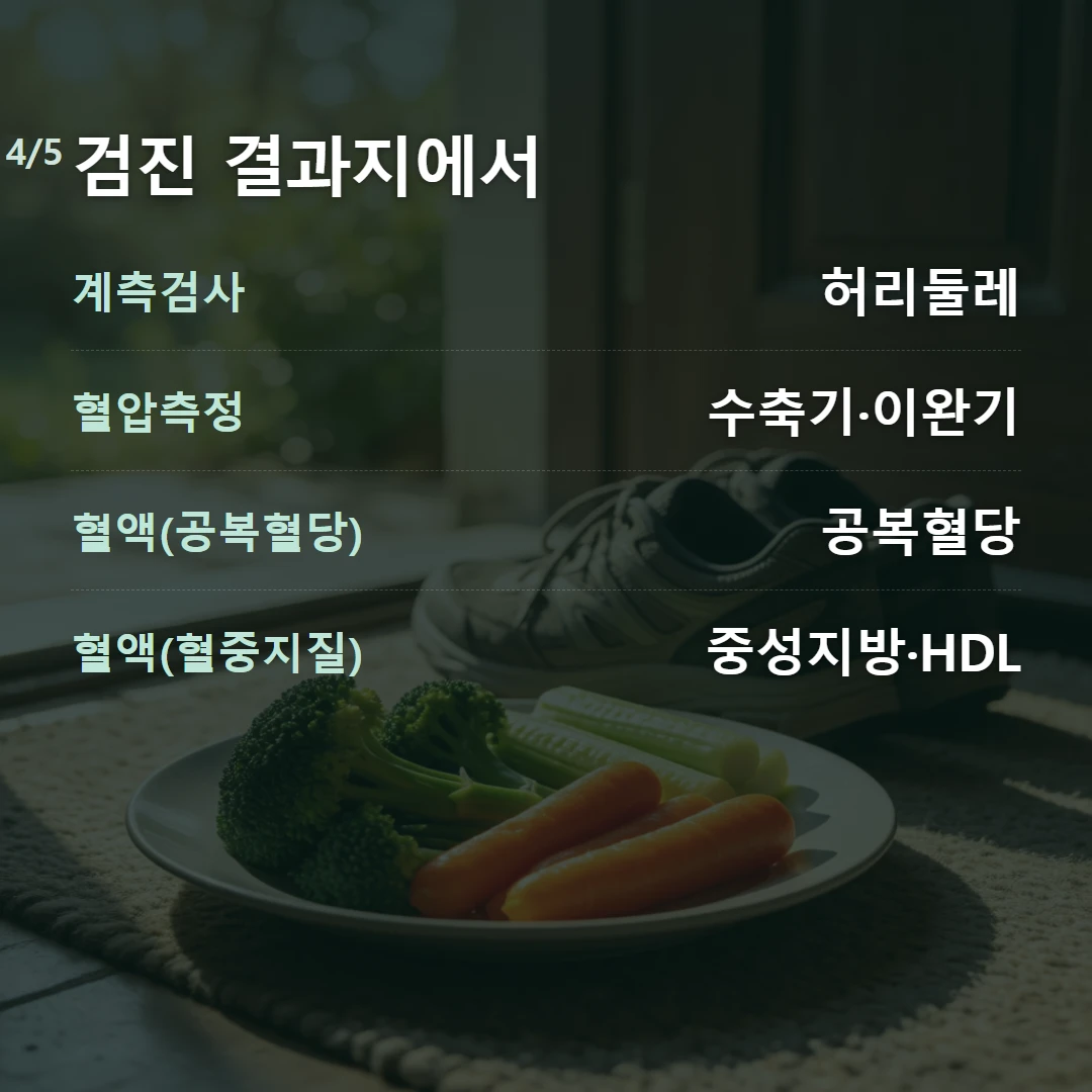 검진 결과지에서 — 계측검사 허리둘레, 혈압측정 수축기·이완기, 혈액(공복혈당) 공복혈당, 혈액(혈중지질) 중성지방·HDL