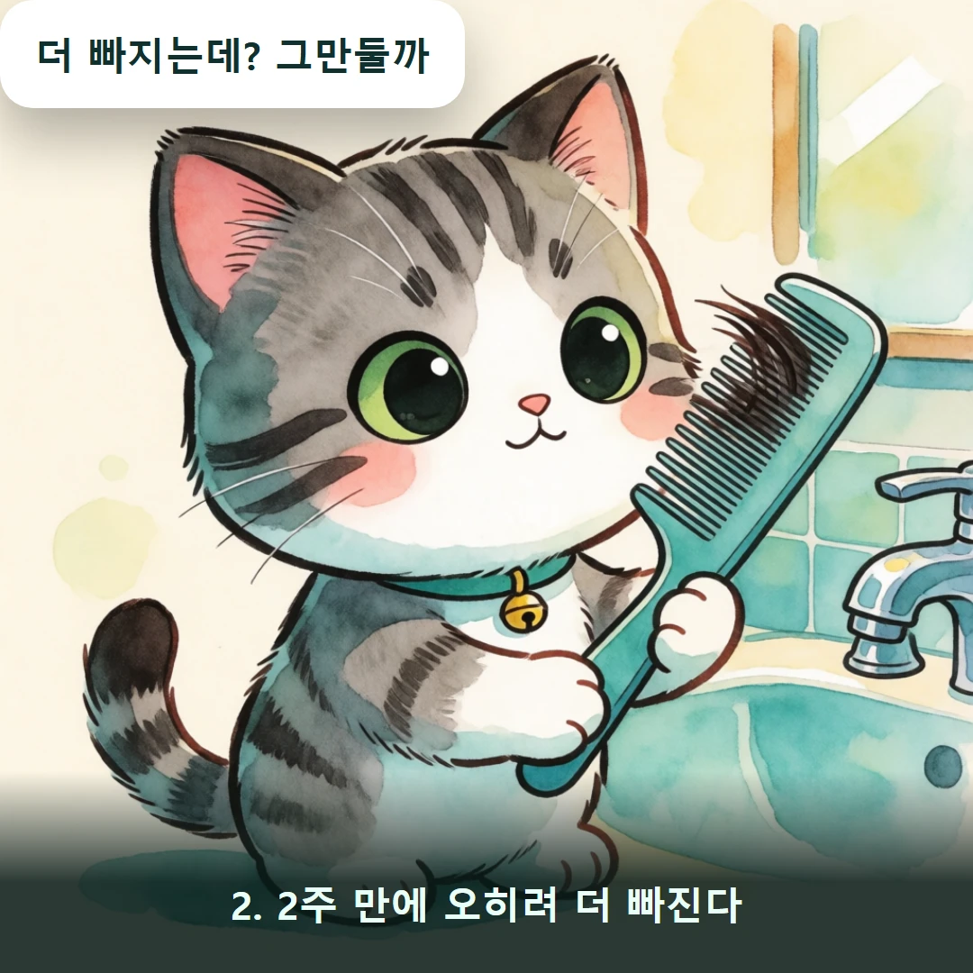 웹툰 2컷 — 2. 2주 만에 오히려 더 빠진다 (더 빠지는데? 그만둘까)