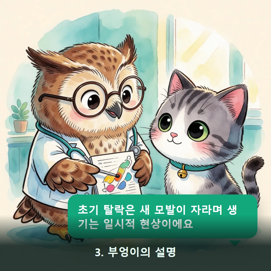 웹툰 3컷 — 3. 부엉이의 설명 (초기 탈락은 새 모발이 자라며 생기는 일시적 현상이에요)