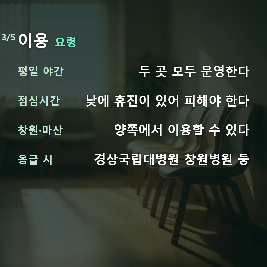 이용 요령 — 평일 야간 두 곳 모두 운영한다, 점심시간 낮에 휴진이 있어 피해야 한다, 창원·마산 양쪽에서 이용할 수 있다, 응급 시 경상국립대병원 창원병원 등