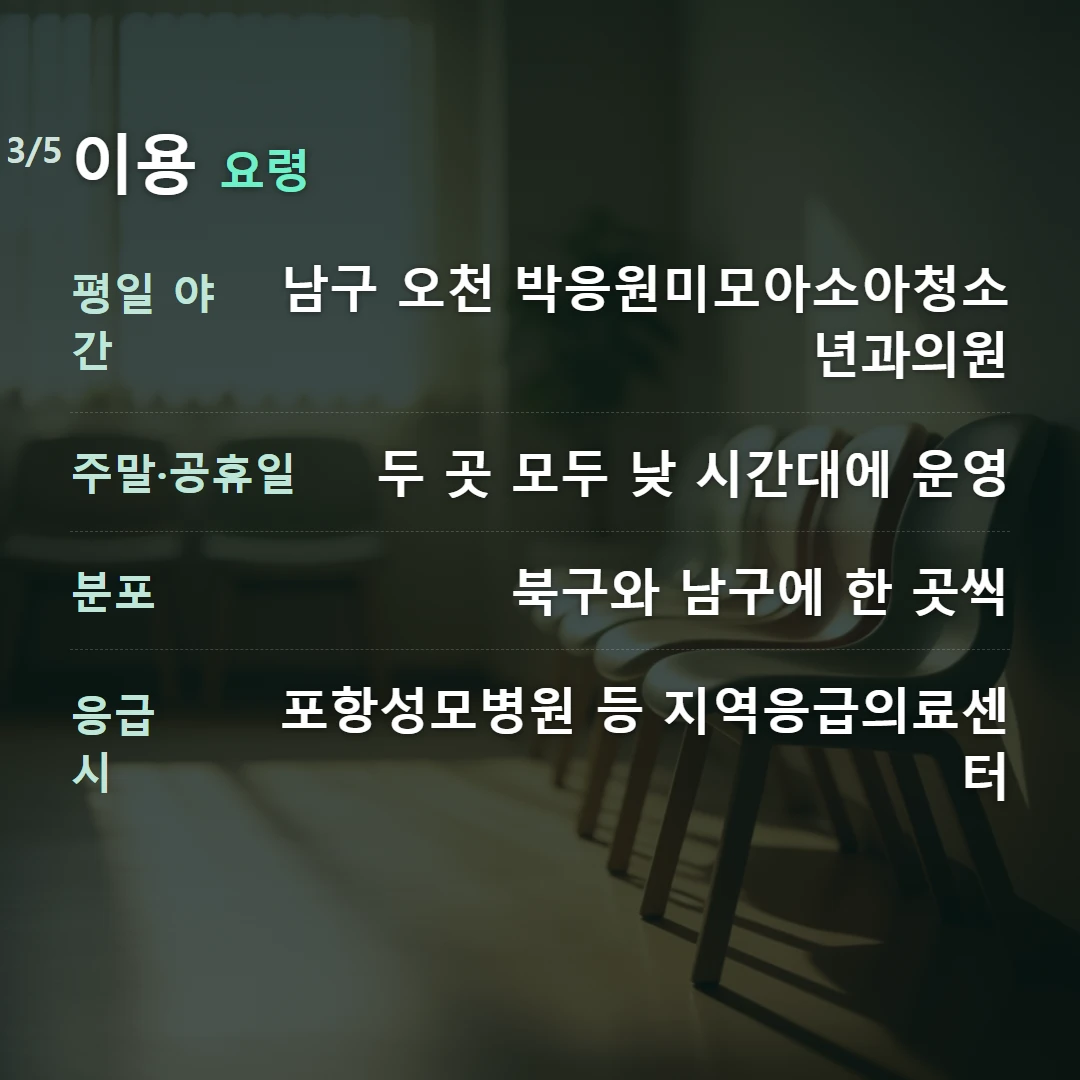 이용 요령 — 평일 야간 남구 오천 박응원미모아소아청소년과의원, 주말·공휴일 두 곳 모두 낮 시간대에 운영, 분포 북구와 남구에 한 곳씩, 응급 시 포항성모병원 등 지역응급의료센터