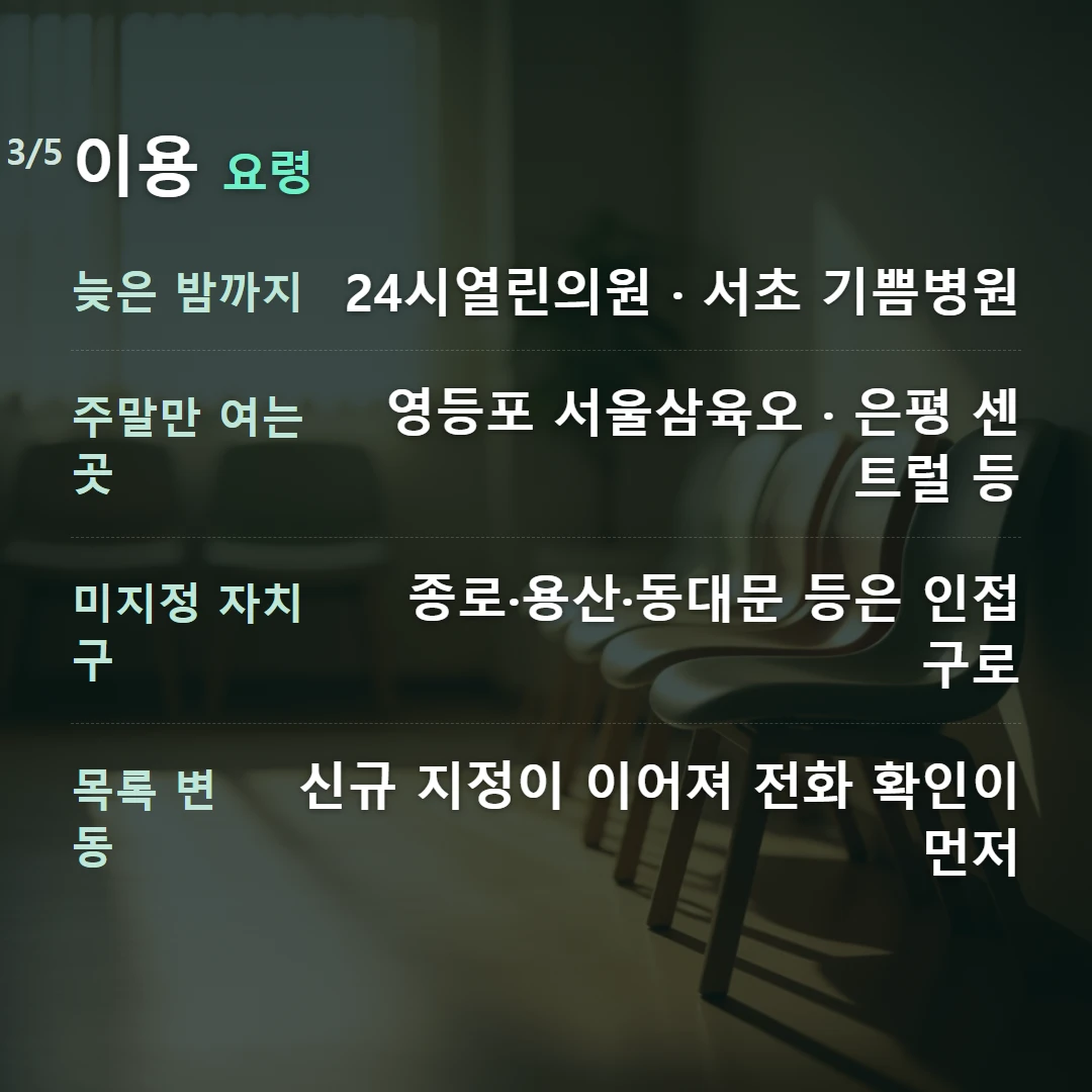 이용 요령 — 늦은 밤까지 24시열린의원 · 서초 기쁨병원, 주말만 여는 곳 영등포 서울삼육오 · 은평 센트럴 등, 미지정 자치구 종로·용산·동대문 등은 인접 구로, 목록 변동 신규 지정이 이어져 전화 확인이 먼저