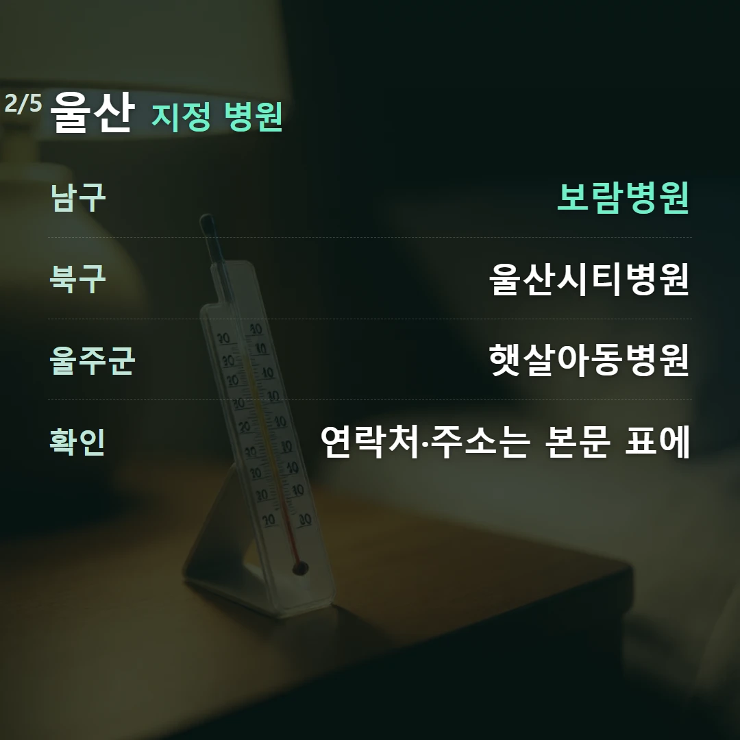 울산 지정 병원 — 남구 보람병원, 북구 울산시티병원, 울주군 햇살아동병원, 확인 연락처·주소는 본문 표에