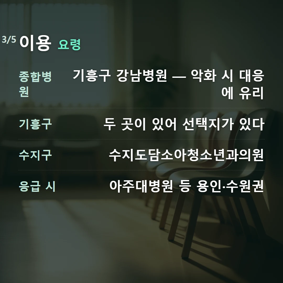 이용 요령 — 종합병원 기흥구 강남병원 — 악화 시 대응에 유리, 기흥구 두 곳이 있어 선택지가 있다, 수지구 수지도담소아청소년과의원, 응급 시 아주대병원 등 용인·수원권