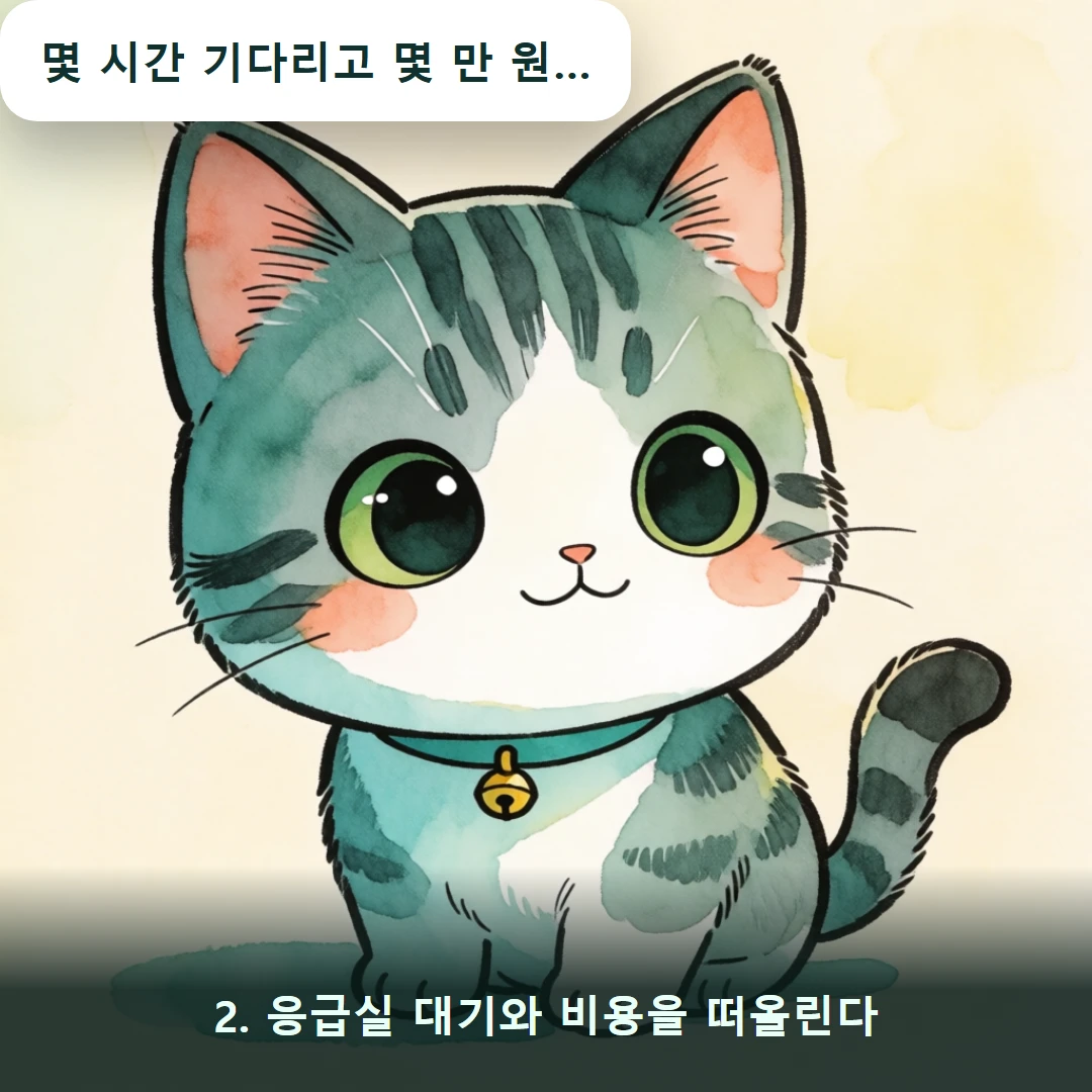 웹툰 2컷 — 2. 응급실 대기와 비용을 떠올린다 (몇 시간 기다리고 몇 만 원…)