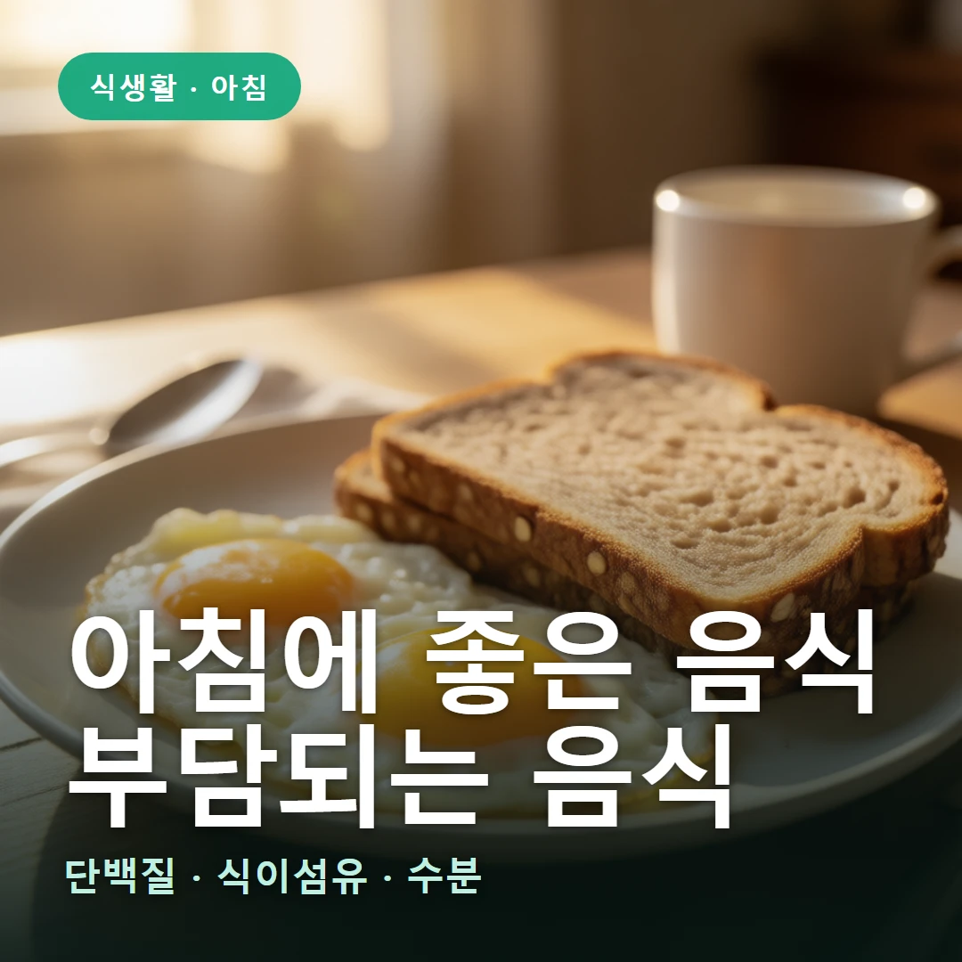 아침 식사 요약 표지 — 단백질 · 식이섬유 · 수분