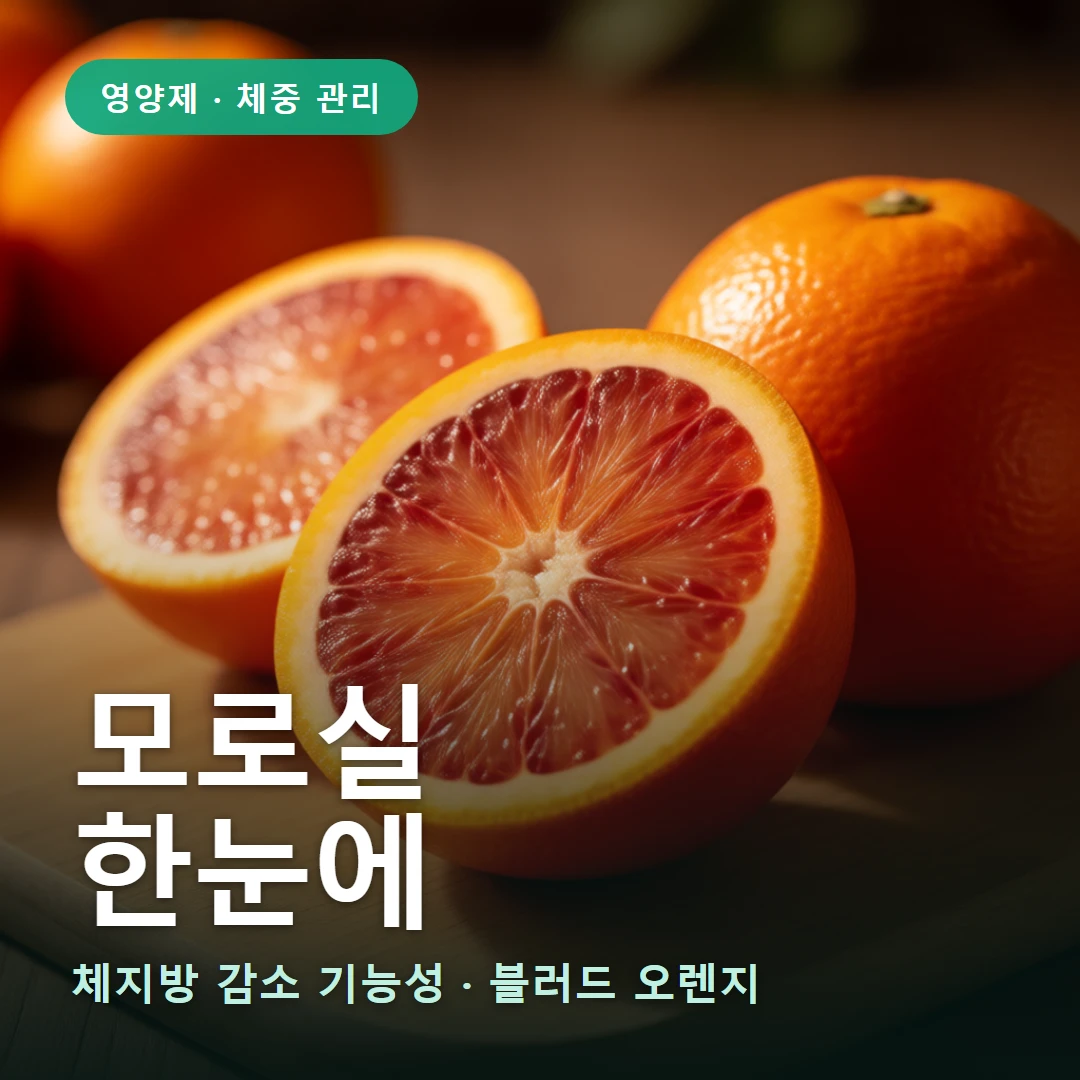 모로실 요약 표지 — 체지방 감소 기능성 · 블러드 오렌지