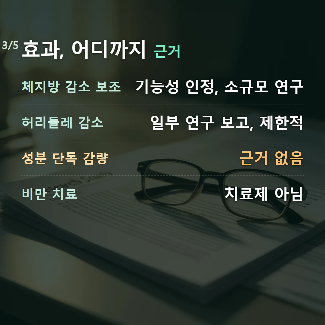 효과, 어디까지 근거 — 체지방 감소 보조 기능성 인정, 소규모 연구, 허리둘레 감소 일부 연구 보고, 제한적, 성분 단독 감량 근거 없음, 비만 치료 치료제 아님