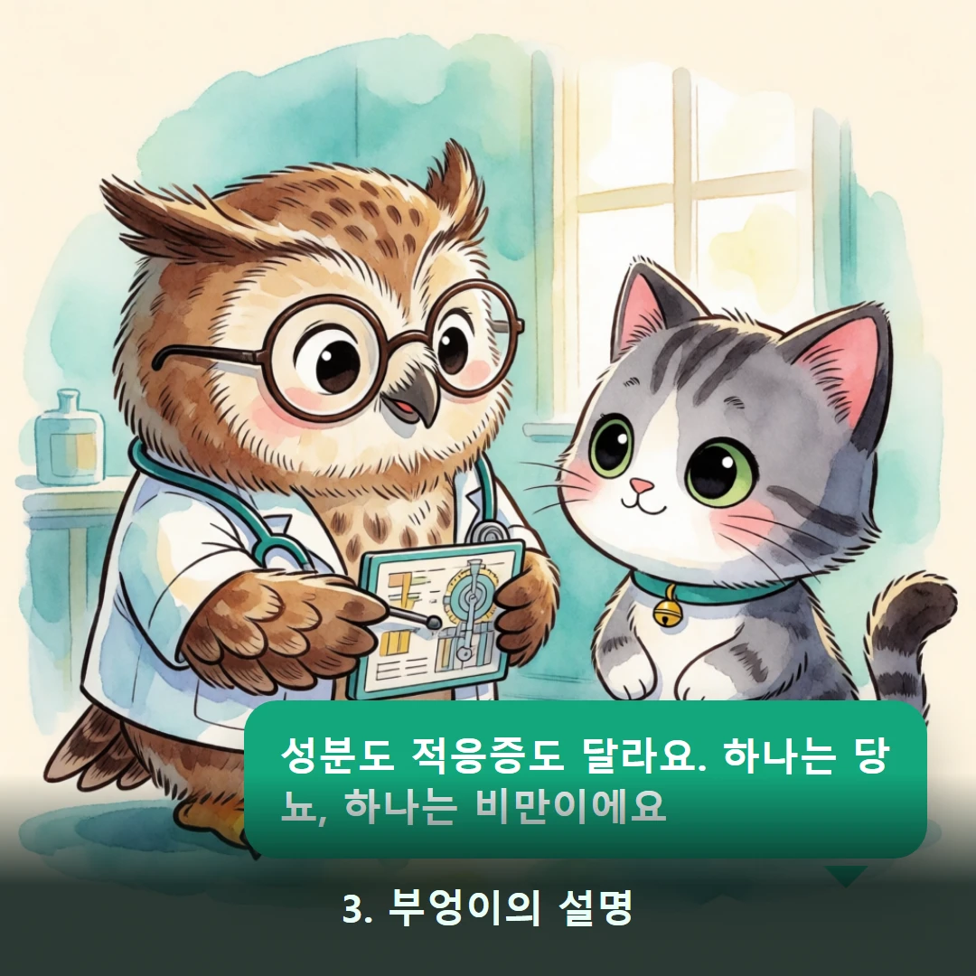 웹툰 3컷 — 3. 부엉이의 설명 (성분도 적응증도 달라요. 하나는 당뇨, 하나는 비만이에요)