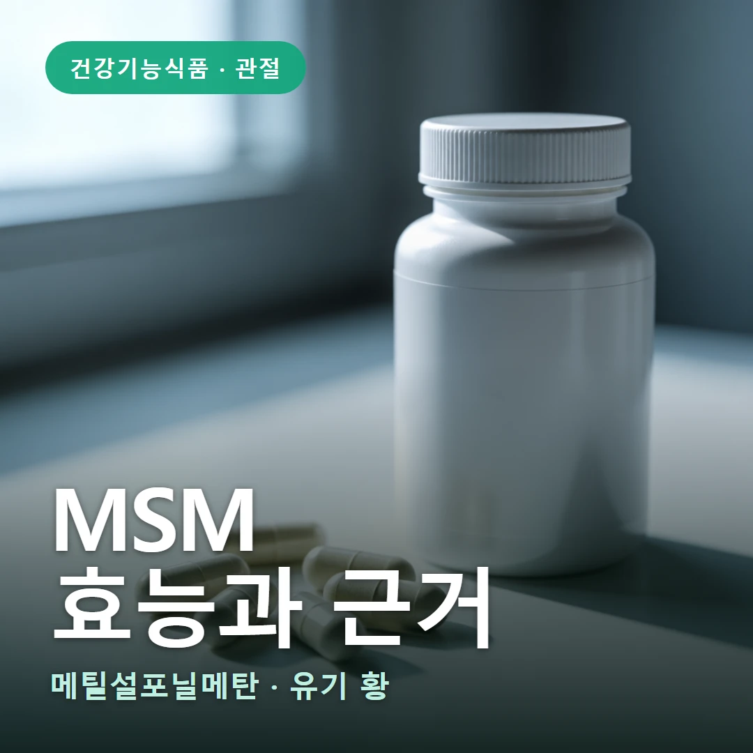 MSM 요약 표지 — 메틸설포닐메탄 · 유기 황