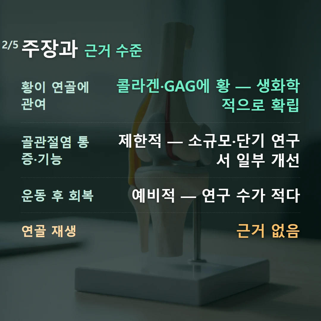 주장과 근거 수준 — 황이 연골에 관여 콜라겐·GAG에 황 — 생화학적으로 확립, 골관절염 통증·기능 제한적 — 소규모·단기 연구서 일부 개선, 운동 후 회복 예비적 — 연구 수가 적다, 연골 재생 근거 없음