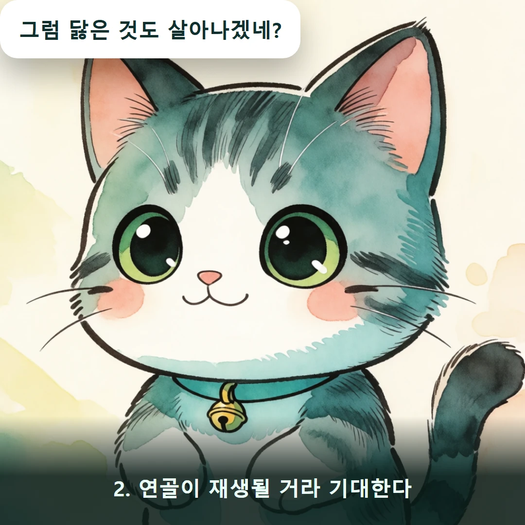 웹툰 2컷 — 2. 연골이 재생될 거라 기대한다 (그럼 닳은 것도 살아나겠네?)