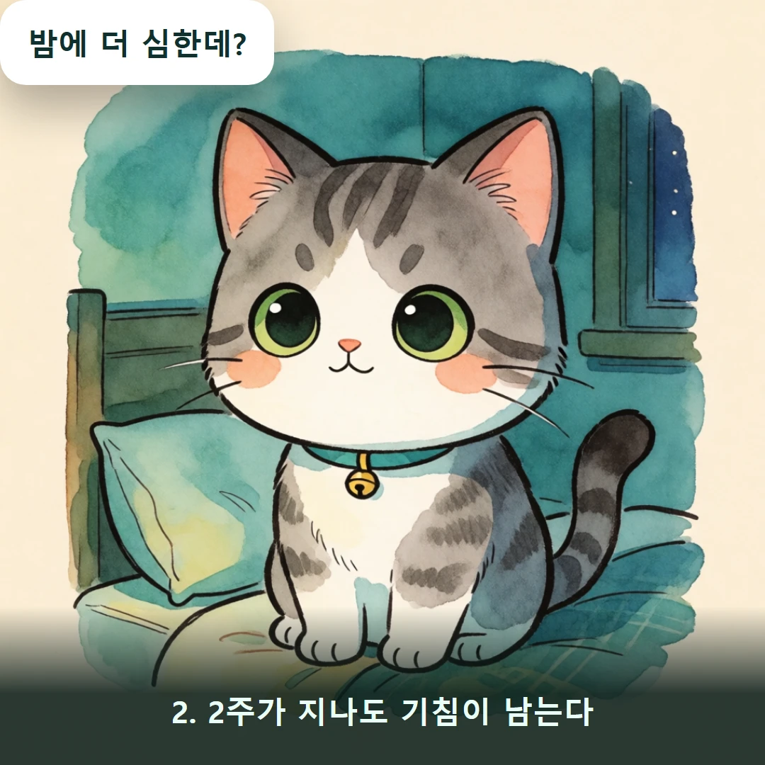 웹툰 2컷 — 2. 2주가 지나도 기침이 남는다 (밤에 더 심한데?)