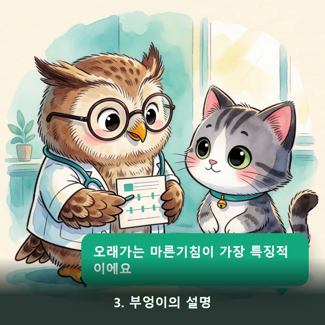 웹툰 3컷 — 3. 부엉이의 설명 (오래가는 마른기침이 가장 특징적이에요)