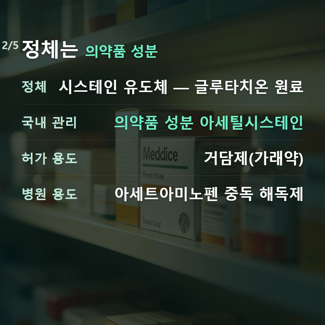 정체는 의약품 성분 — 정체 시스테인 유도체 — 글루타치온 원료, 국내 관리 의약품 성분 아세틸시스테인, 허가 용도 거담제(가래약), 병원 용도 아세트아미노펜 중독 해독제