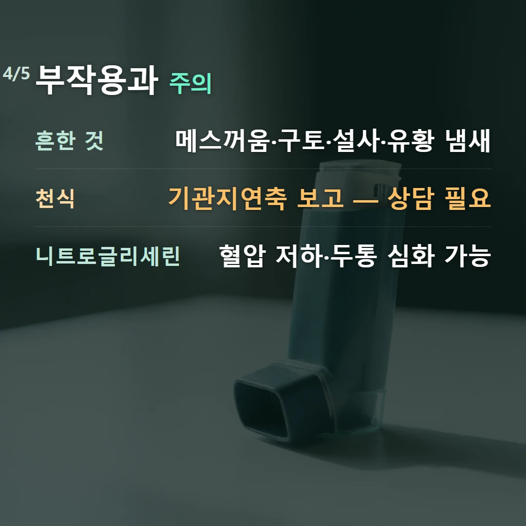 부작용과 주의 — 흔한 것 메스꺼움·구토·설사·유황 냄새, 천식 기관지연축 보고 — 상담 필요, 니트로글리세린 혈압 저하·두통 심화 가능