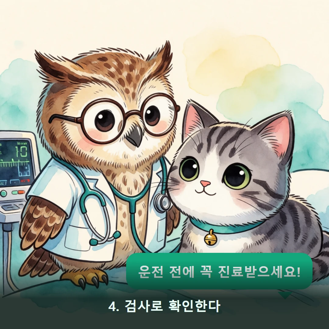 웹툰 4컷 — 4. 검사로 확인한다 (운전 전에 꼭 진료받으세요!)