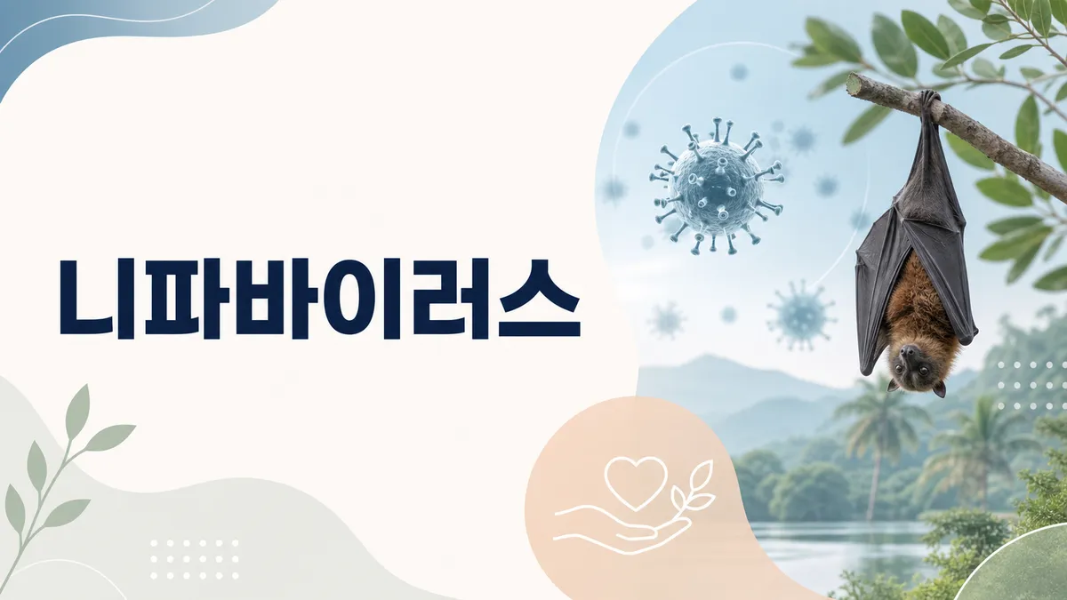 니파바이러스감염증 증상과 국내 유입 위험도 총정리