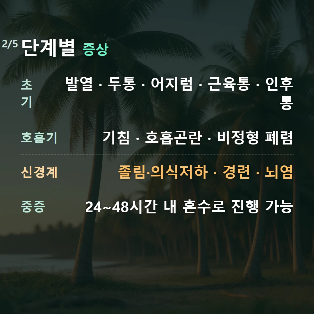 단계별 증상 — 초기 발열 · 두통 · 어지럼 · 근육통 · 인후통, 호흡기 기침 · 호흡곤란 · 비정형 폐렴, 신경계 졸림·의식저하 · 경련 · 뇌염, 중증 24~48시간 내 혼수로 진행 가능