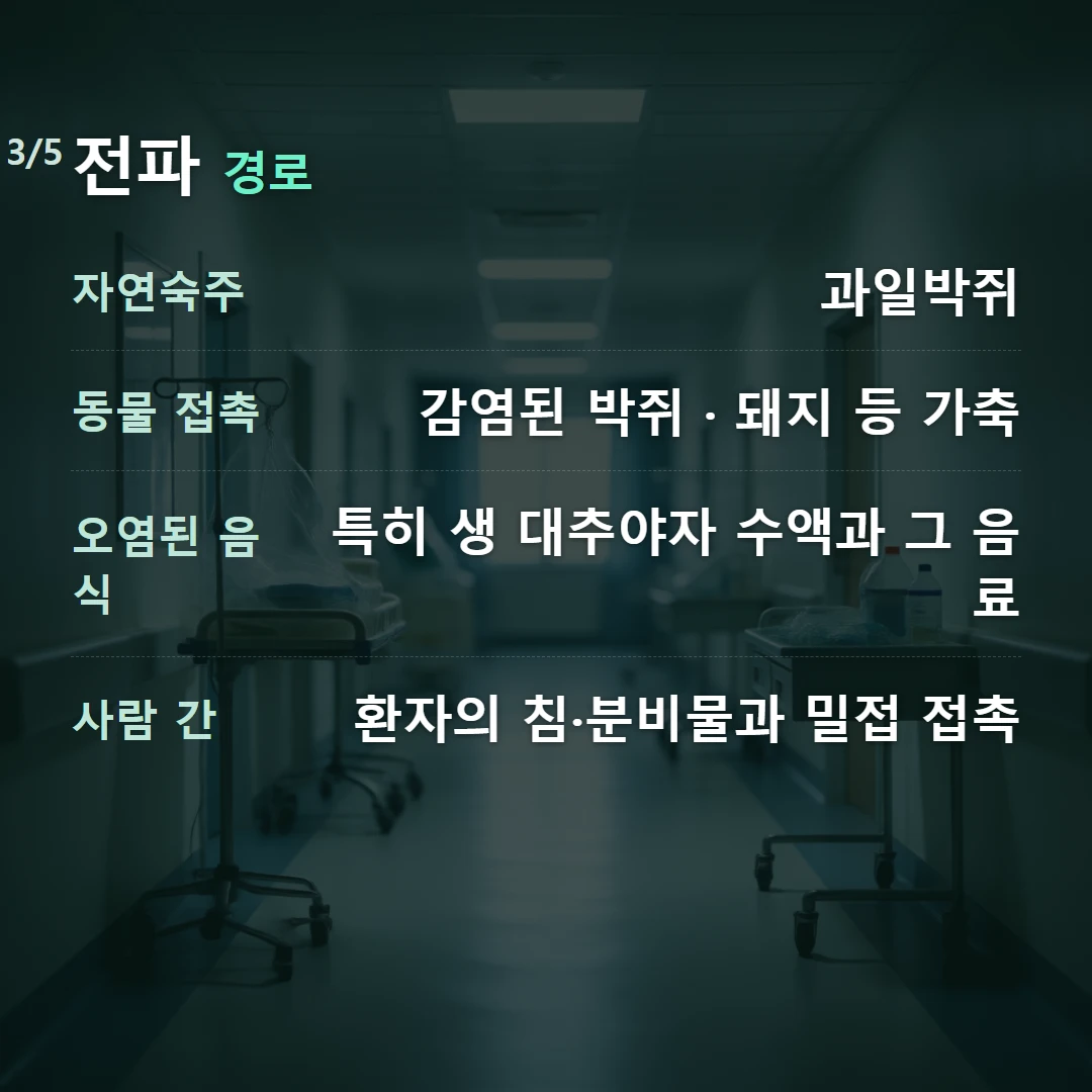 전파 경로 — 자연숙주 과일박쥐, 동물 접촉 감염된 박쥐 · 돼지 등 가축, 오염된 음식 특히 생 대추야자 수액과 그 음료, 사람 간 환자의 침·분비물과 밀접 접촉