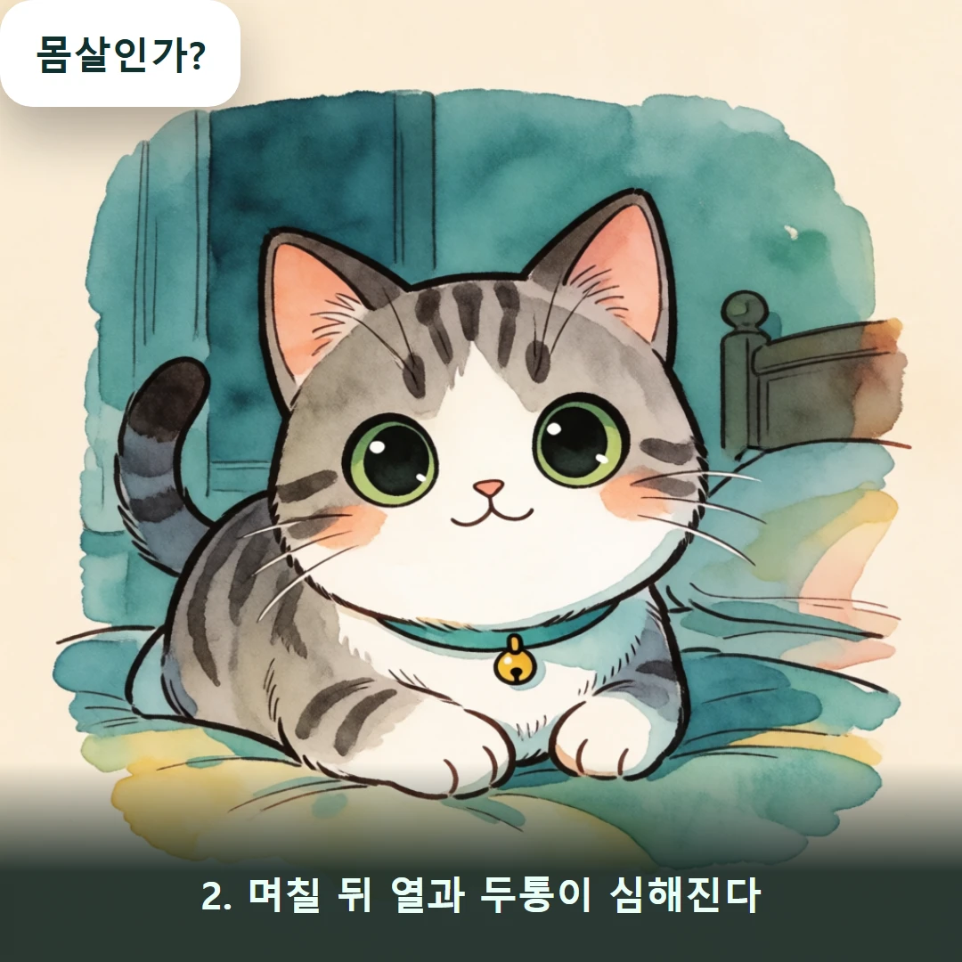 웹툰 2컷 — 2. 며칠 뒤 열과 두통이 심해진다 (몸살인가?)