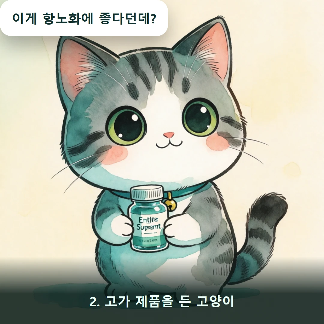 웹툰 2컷 — 2. 고가 제품을 든 고양이 (이게 항노화에 좋다던데?)