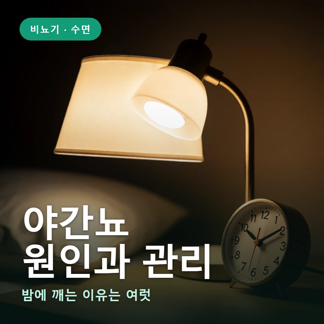 야간뇨 요약 표지 — 밤에 깨는 이유는 여럿